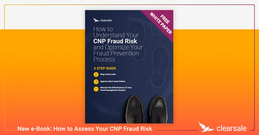New e-Book: How to Assess Your CNP Fraud Risk