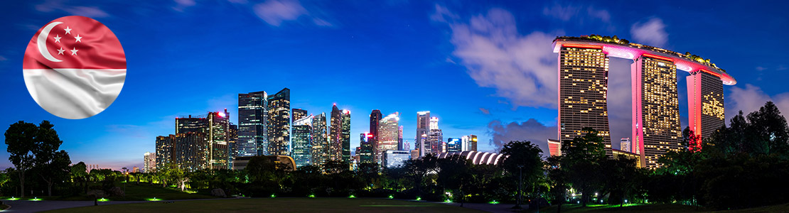 Ecommerce in Singapore